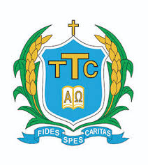 Tsung Tsin College logo