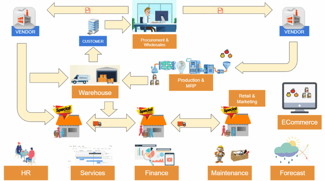 13 interconnected business departments