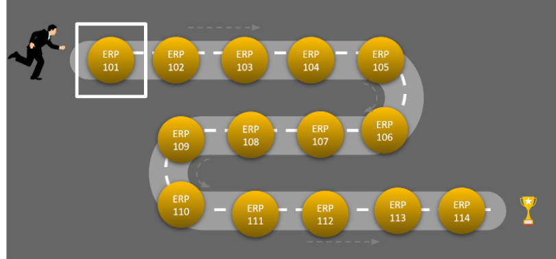 MonsoonSIM ERP Microcourse